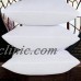 Square White Throw Pillow Cushion Sofa Waist Pillowcase Filler Inner Pads Insert   172824881489